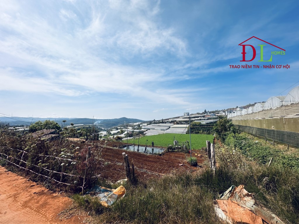 Bán đất Xuân Thọ Đà Lạt view thung lũng thích hợp đầu tư