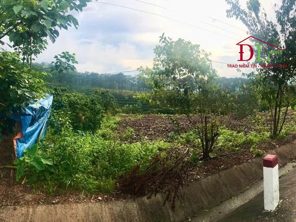 HẠ GIÁ Bán đất mặt tiền QL20 xã Xuân Trường Đà Lạt thích hợp đầu tư