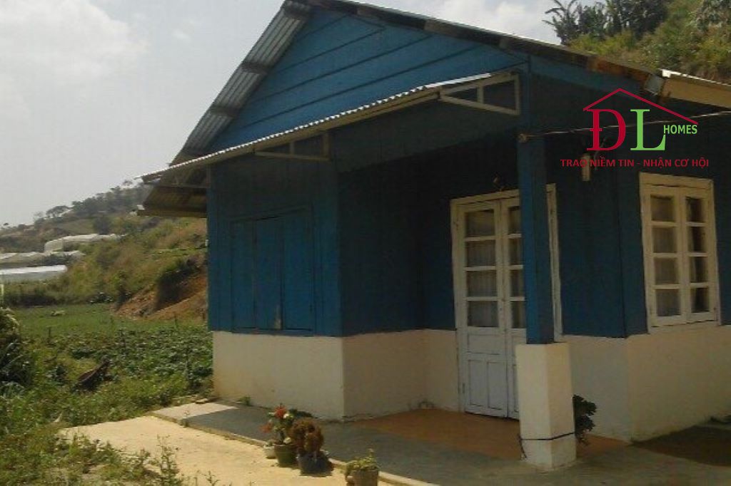 Bán đất Đan Kia phường 7 Đà Lạt có sẵn nhà gỗ cấp 4 cực chill