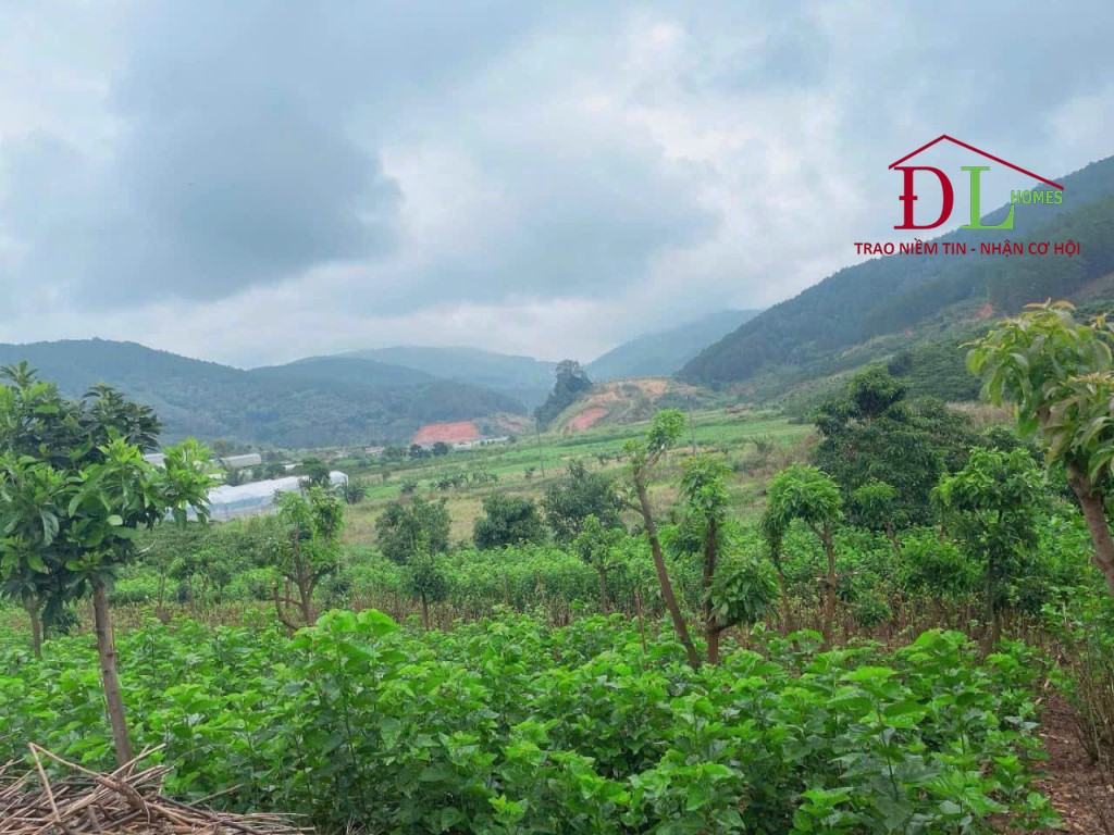 Bán đất xã Tà Nung Đà Lạt thích hợp đầu tư sinh lời lâu dài