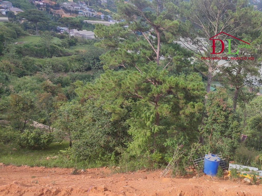 Bán đất An Sơn phường 4 Đà Lạt thích hợp đầu tư sinh lời