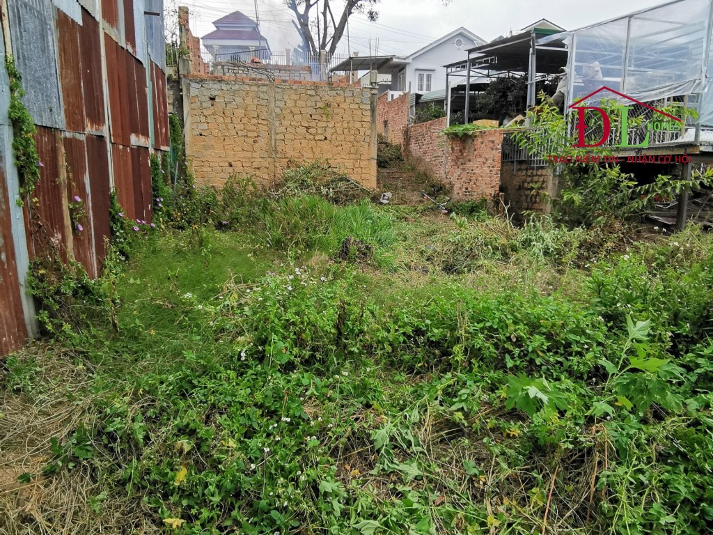 HẠ GIÁ Bán đất Khe Sanh P10 Đà Lạt view thung lũng thoáng mát