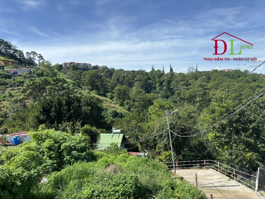 Bán đất Lê Văn Tám phường 10 Đà Lạt view rừng thông nguyên sinh