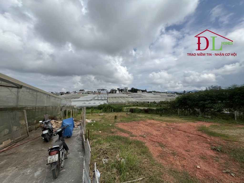 HẠ GIÁ Bán đất Trần Đại Nghĩa phường 8 Đà Lạt thích hợp nghỉ dưỡng