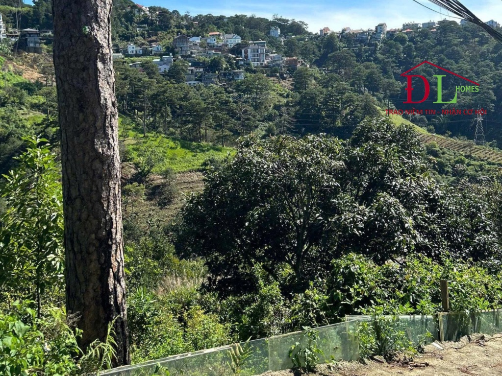 HẠ GIÁ Bán đất Hoàng Hoa Thám P10 Đà Lạt 300m2 view thung lũng
