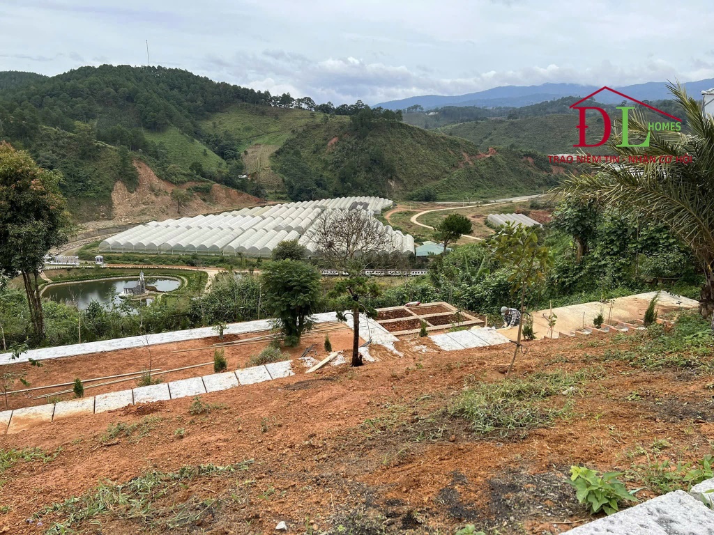 Bán đất trung tâm xã Lát huyện Lạc Dương Đà Lạt hợp đầu tư nghỉ dưỡng