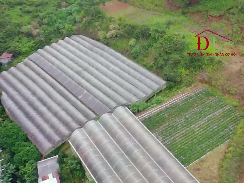 Bán đất xã Đạ Sar huyện Lạc Dương view rừng thông giá tốt đầu tư