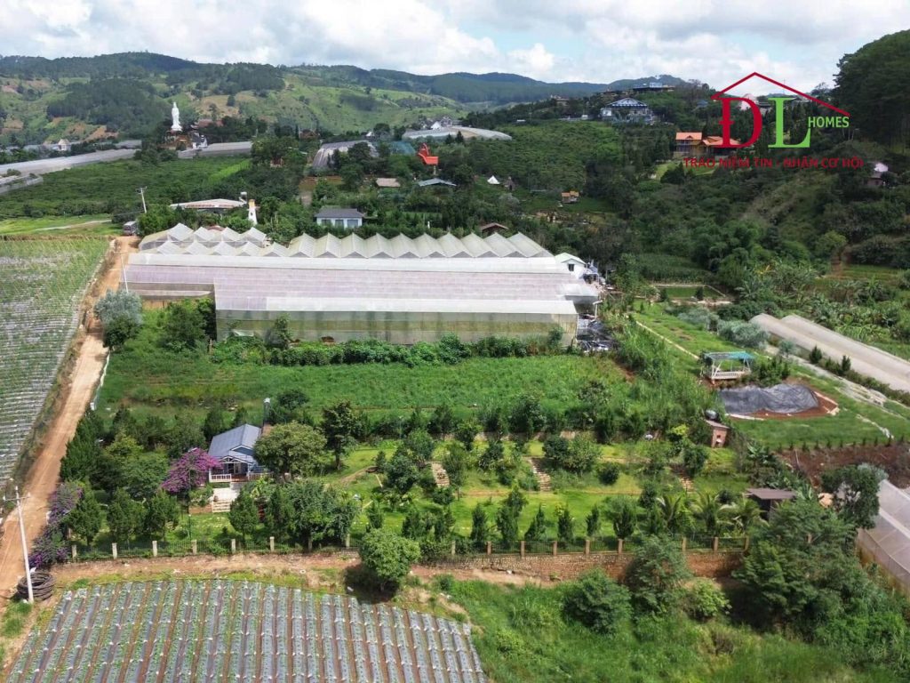 Bán đất xã Tà Nung Đà Lạt thích hợp đầu tư khai thác du lịch