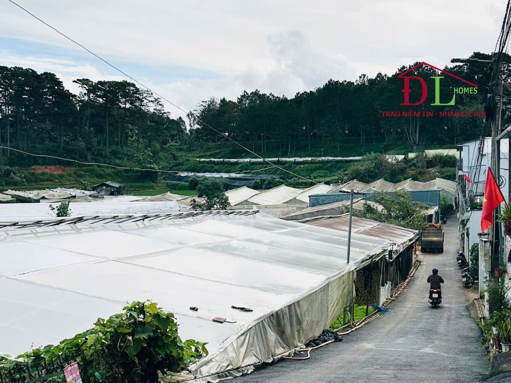 Bán đất Lữ Gia Phường 9 Đà Lạt Thích hợp đầu tư phân lô