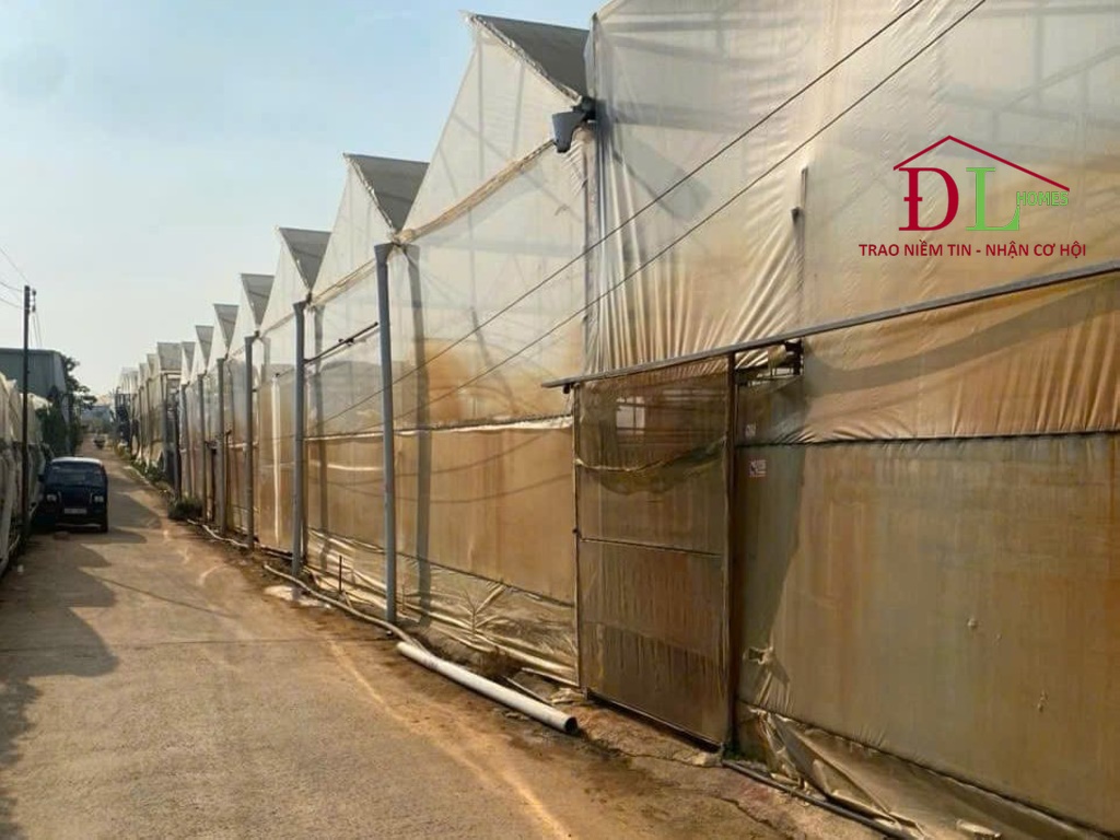 Bán đất Nguyên Tử Lực Phường 8 Đà Lạt thuận tiện kinh doanh farm