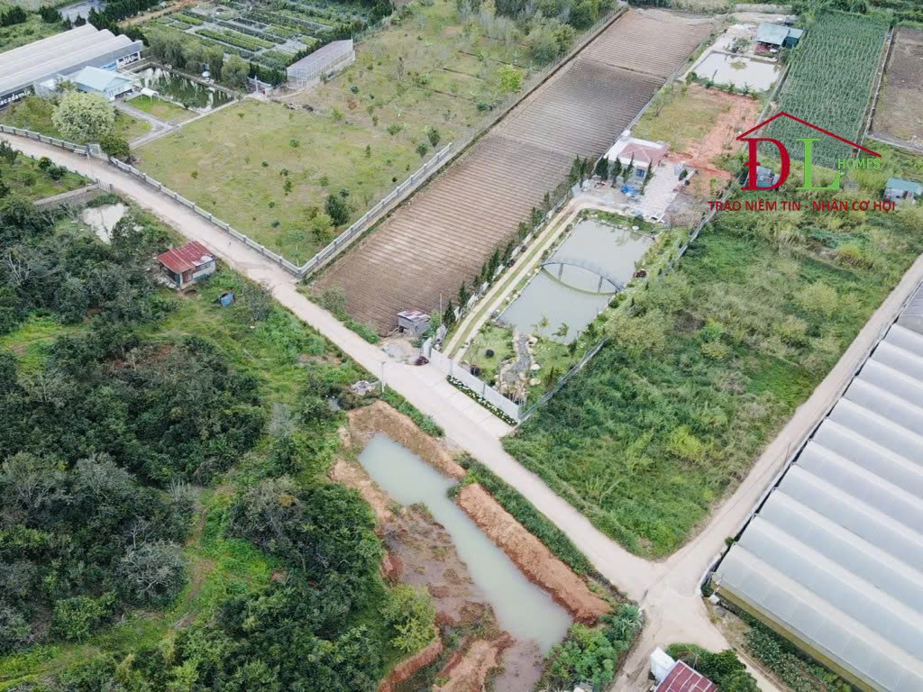 Bán lô đất Mimosa phường 10 Đà Lạt gần khu du lịch Tam Hà