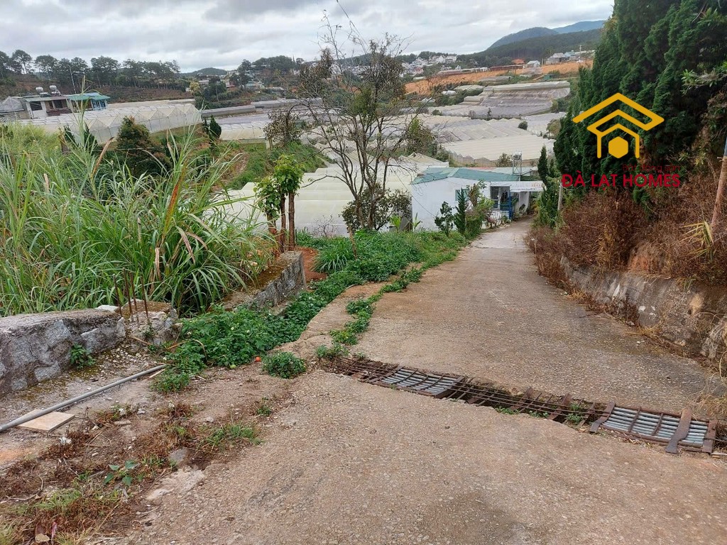 Bán đất Huyền Trân Công Chúa Đà Lạt diện tích rộng view thung lũng giá chỉ 7,2 tỷ