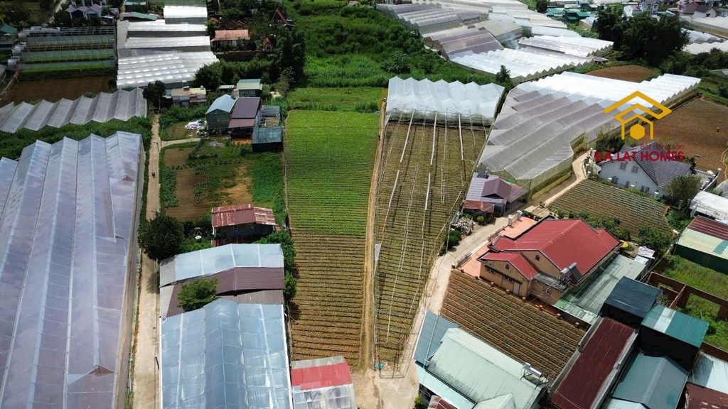 Bán đất nông nghiệp Mai Anh Đào, P8, Đà Lạt