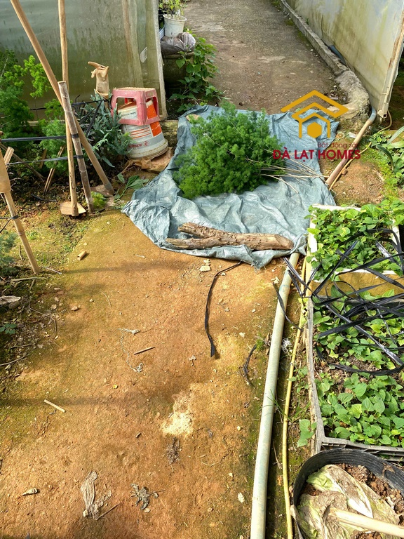 Bán đất Nguyễn Thái Bình, Thái Phiên, Đà Lạt.