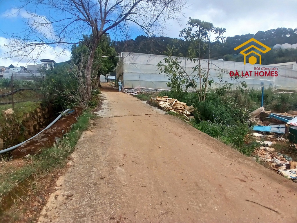 Bán đất Thái Phiên vuông vức, view thung lũng Đà Lạt
