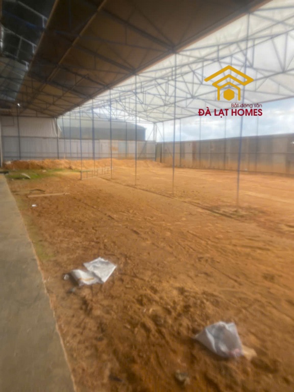 Bán đất Huỳnh Tấn Phát Đà Lạt rộng, view thung lũng tuyệt đẹp 