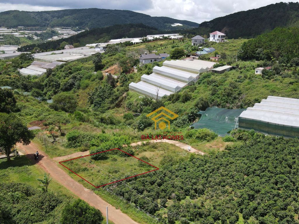 Bán đất Măng Lin Đà Lạt 2 mặt tiền cực rộng và nở hậu thích hợp an cư, kinh doanh