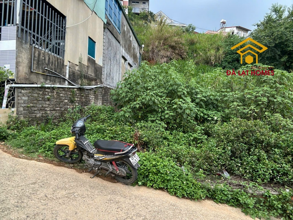 Bán đất Nguyễn Siêu Đà Lạt, view thoáng thích hợp an cư, kinh doanh nghỉ dưỡng